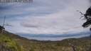 ./images/calvert/fitz-hugh-hecate/20250614/fitz-hugh-hecate20250614_143010M.jpg