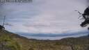 ./images/calvert/fitz-hugh-hecate/20250614/fitz-hugh-hecate20250614_143510M.jpg