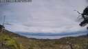 ./images/calvert/fitz-hugh-hecate/20250614/fitz-hugh-hecate20250614_144010M.jpg