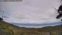 ./images/calvert/fitz-hugh-hecate/20250614/fitz-hugh-hecate20250614_144510M.jpg