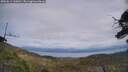 ./images/calvert/fitz-hugh-hecate/20250614/fitz-hugh-hecate20250614_145010M.jpg