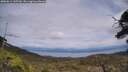 ./images/calvert/fitz-hugh-hecate/20250614/fitz-hugh-hecate20250614_145510M.jpg