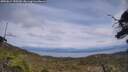 ./images/calvert/fitz-hugh-hecate/20250614/fitz-hugh-hecate20250614_150510M.jpg