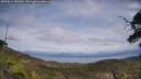 ./images/calvert/fitz-hugh-hecate/20250614/fitz-hugh-hecate20250614_151010M.jpg