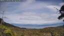./images/calvert/fitz-hugh-hecate/20250614/fitz-hugh-hecate20250614_151511M.jpg