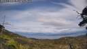 ./images/calvert/fitz-hugh-hecate/20250614/fitz-hugh-hecate20250614_152510M.jpg