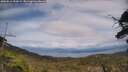 ./images/calvert/fitz-hugh-hecate/20250614/fitz-hugh-hecate20250614_153009M.jpg