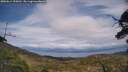 ./images/calvert/fitz-hugh-hecate/20250614/fitz-hugh-hecate20250614_154511M.jpg