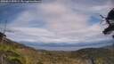 ./images/calvert/fitz-hugh-hecate/20250614/fitz-hugh-hecate20250614_155009M.jpg