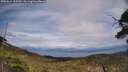 ./images/calvert/fitz-hugh-hecate/20250614/fitz-hugh-hecate20250614_155509M.jpg
