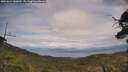 ./images/calvert/fitz-hugh-hecate/20250614/fitz-hugh-hecate20250614_160012M.jpg