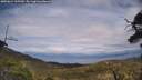 ./images/calvert/fitz-hugh-hecate/20250614/fitz-hugh-hecate20250614_160510M.jpg