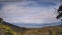 ./images/calvert/fitz-hugh-hecate/20250614/fitz-hugh-hecate20250614_161509M.jpg