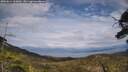 ./images/calvert/fitz-hugh-hecate/20250614/fitz-hugh-hecate20250614_162010M.jpg