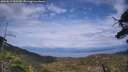 ./images/calvert/fitz-hugh-hecate/20250614/fitz-hugh-hecate20250614_162509M.jpg