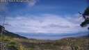 ./images/calvert/fitz-hugh-hecate/20250614/fitz-hugh-hecate20250614_163509M.jpg