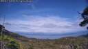 ./images/calvert/fitz-hugh-hecate/20250614/fitz-hugh-hecate20250614_164010M.jpg