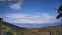 ./images/calvert/fitz-hugh-hecate/20250614/fitz-hugh-hecate20250614_165010M.jpg