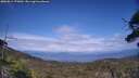 ./images/calvert/fitz-hugh-hecate/20250614/fitz-hugh-hecate20250614_170012M.jpg