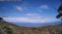 ./images/calvert/fitz-hugh-hecate/20250614/fitz-hugh-hecate20250614_172508M.jpg