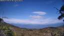 ./images/calvert/fitz-hugh-hecate/20250614/fitz-hugh-hecate20250614_173506M.jpg