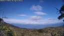 ./images/calvert/fitz-hugh-hecate/20250614/fitz-hugh-hecate20250614_174010M.jpg