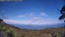 ./images/calvert/fitz-hugh-hecate/20250614/fitz-hugh-hecate20250614_174510M.jpg