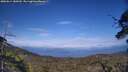 ./images/calvert/fitz-hugh-hecate/20250614/fitz-hugh-hecate20250614_180509M.jpg