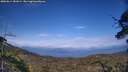 ./images/calvert/fitz-hugh-hecate/20250614/fitz-hugh-hecate20250614_181008M.jpg