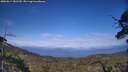 ./images/calvert/fitz-hugh-hecate/20250614/fitz-hugh-hecate20250614_181510M.jpg