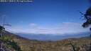 ./images/calvert/fitz-hugh-hecate/20250614/fitz-hugh-hecate20250614_182008M.jpg