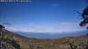 ./images/calvert/fitz-hugh-hecate/20250614/fitz-hugh-hecate20250614_182509M.jpg