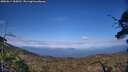 ./images/calvert/fitz-hugh-hecate/20250614/fitz-hugh-hecate20250614_184510M.jpg