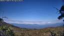 ./images/calvert/fitz-hugh-hecate/20250614/fitz-hugh-hecate20250614_185008M.jpg
