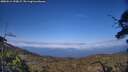 ./images/calvert/fitz-hugh-hecate/20250614/fitz-hugh-hecate20250614_190007M.jpg