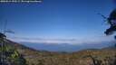 ./images/calvert/fitz-hugh-hecate/20250614/fitz-hugh-hecate20250614_190509M.jpg