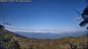 ./images/calvert/fitz-hugh-hecate/20250614/fitz-hugh-hecate20250614_191008M.jpg