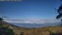 ./images/calvert/fitz-hugh-hecate/20250614/fitz-hugh-hecate20250614_193508M.jpg