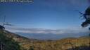 ./images/calvert/fitz-hugh-hecate/20250614/fitz-hugh-hecate20250614_194509M.jpg