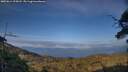 ./images/calvert/fitz-hugh-hecate/20250614/fitz-hugh-hecate20250614_195008M.jpg