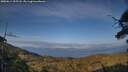 ./images/calvert/fitz-hugh-hecate/20250614/fitz-hugh-hecate20250614_195508M.jpg