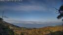 ./images/calvert/fitz-hugh-hecate/20250614/fitz-hugh-hecate20250614_200008M.jpg