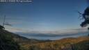 ./images/calvert/fitz-hugh-hecate/20250614/fitz-hugh-hecate20250614_203010M.jpg