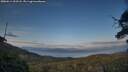 ./images/calvert/fitz-hugh-hecate/20250614/fitz-hugh-hecate20250614_203507M.jpg