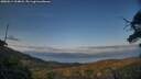 ./images/calvert/fitz-hugh-hecate/20250614/fitz-hugh-hecate20250614_204008M.jpg