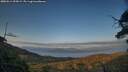 ./images/calvert/fitz-hugh-hecate/20250614/fitz-hugh-hecate20250614_205009M.jpg