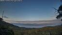 ./images/calvert/fitz-hugh-hecate/20250614/fitz-hugh-hecate20250614_205508M.jpg