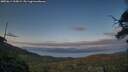 ./images/calvert/fitz-hugh-hecate/20250614/fitz-hugh-hecate20250614_210008M.jpg