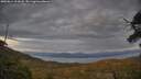 ./images/calvert/fitz-hugh-hecate/20250614/fitz-hugh-hecate20250614_212008M.jpg