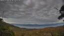 ./images/calvert/fitz-hugh-hecate/20250614/fitz-hugh-hecate20250614_212508M.jpg